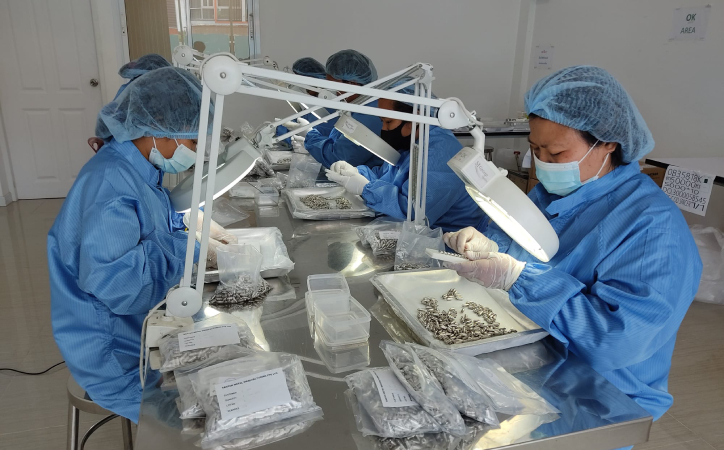 M Group Quality Inspection